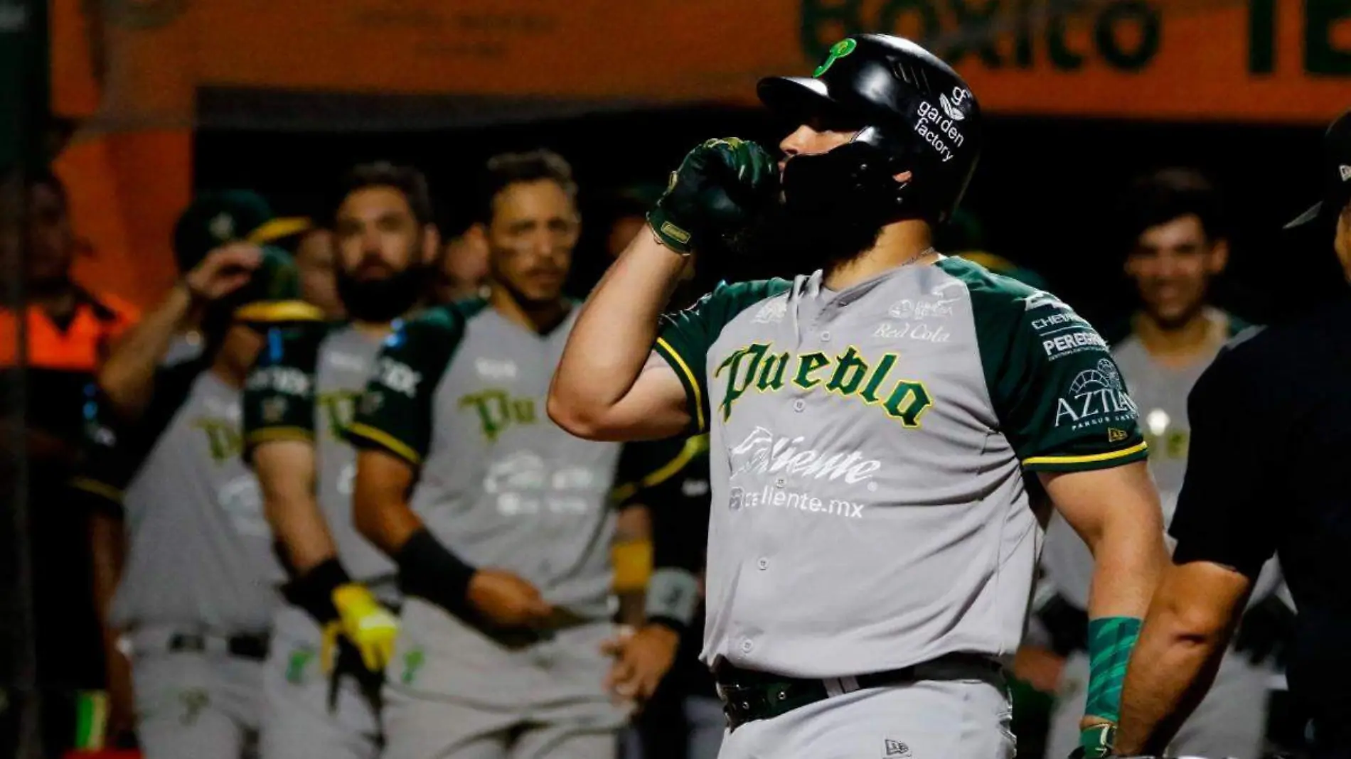 Pericos de Puebla equipo de beisbol